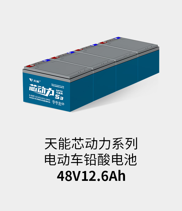 腾博官网电池48v12ah