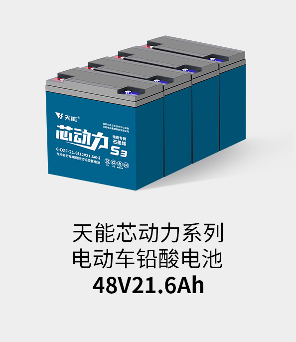 腾博官网电池48v20ah