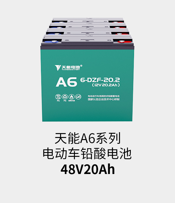 腾博官网电池48v20ah