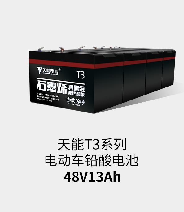 腾博官网T3系列48v13ah