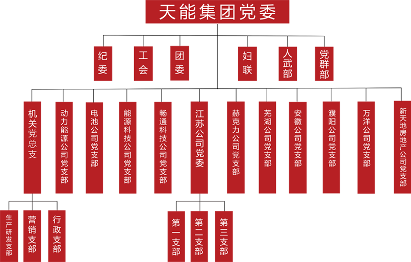 腾博官网建团党委组织架构